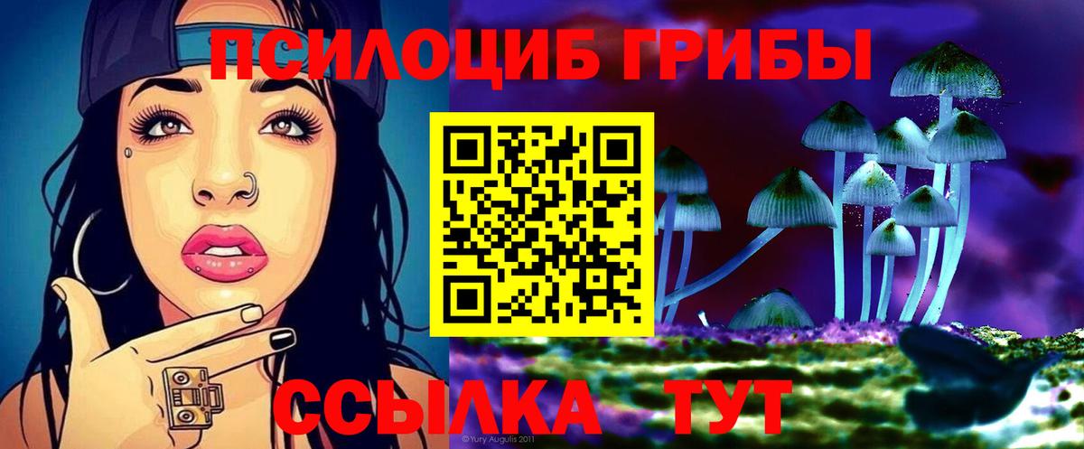 Галлюциногенные грибы прущие грибы  Псилоцибиновые грибы прущие грибы  Малоярославец  Вход с VPN 
